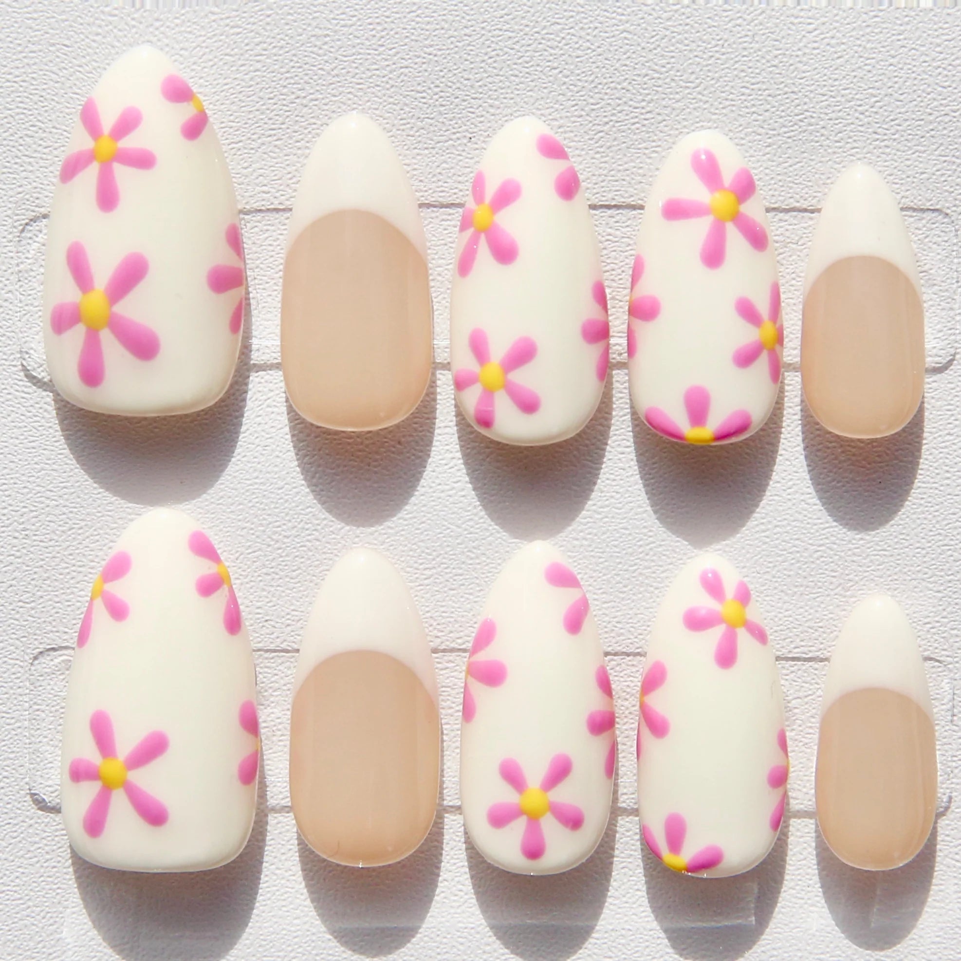 Daisy Blossom