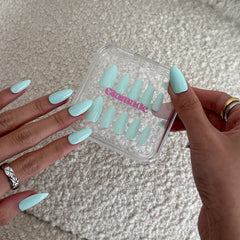 Tiffany Mimosa
