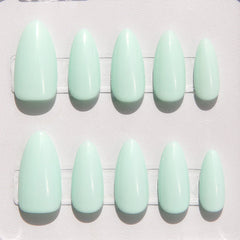Tiffany Mimosa